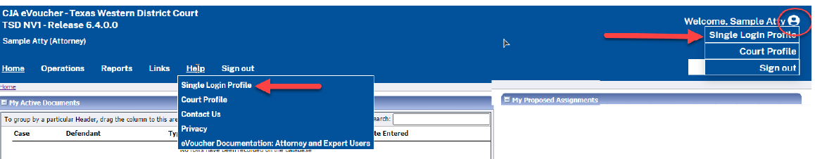 Access Single Login Profile