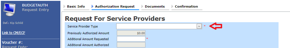 Budget Auth - Authorization Request Tab
